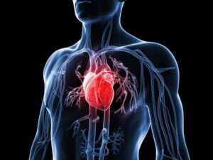 Hình 4: Bánh gạo lứt giúp ổn định tim mạch